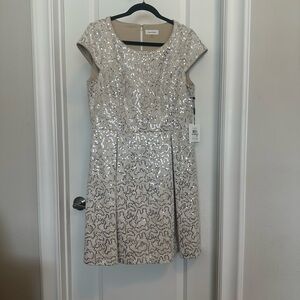 Calvin Klein NWT Lace and Sequin Dress